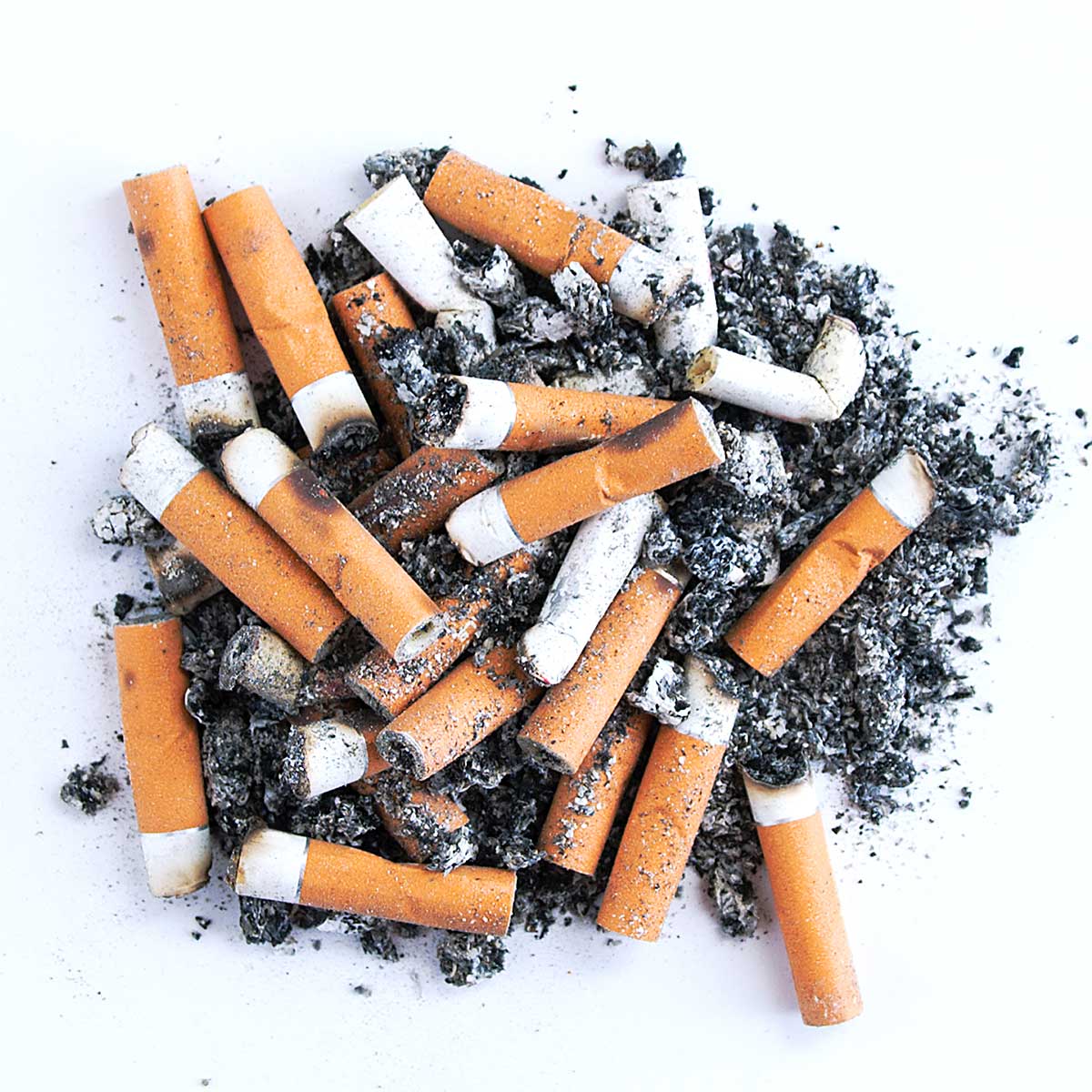 cigarette bud meaning Cigarette Butts – Go Zero Recycle cigarette bud meaning Cigarette Butts – Go Zero Recycle